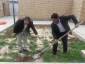 گزارش مصور از برنامه نهال کاری در محوطه دانشکده فنی و حرفه ای دختران  قاینات - شانزدهم اسفند ماه